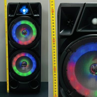 Безпровідна караоке колонка з мікрофоном, пультом та RGB-підсвічуванням Sing-e ZQS8210 Чорний 38596
