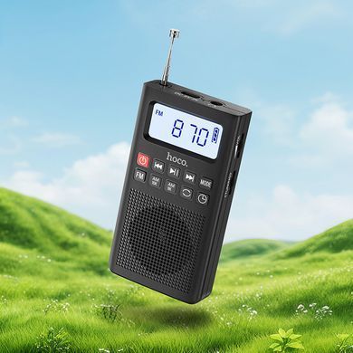 Портативна колонка з радіо радіоприймач HOCO HI51 FM-радіо з підтримкою TF-карти