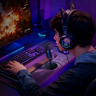 Настільний USB мікрофон з RGB-підсвіткою HOCO L25 Чорний