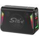 Колонка з мікрофонами Sing-e CQS-S553 караоке колонка портативна Bluetooth колонка 120W бездротова колонка з мікрофонами