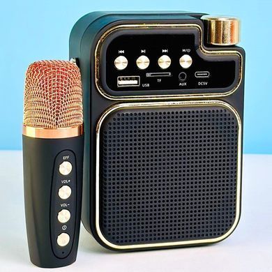 Безпровідна караоке колонка з мікрофоном JEQANG JB-718 Mini |AUX, TF, USB, FM| Чорний