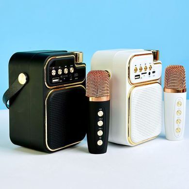 Безпровідна караоке колонка з мікрофоном JEQANG JB-718 Mini |AUX, TF, USB, FM| Чорний