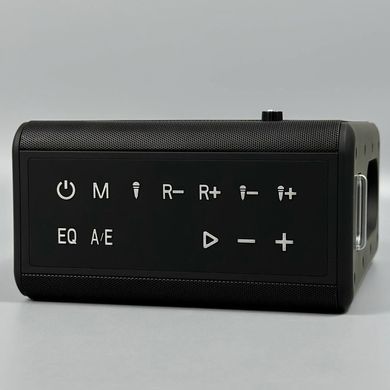 Колонка з мікрофонами Sing-e ZQS V73 караоке колонка 100W портативна Bluetooth колонка 57224