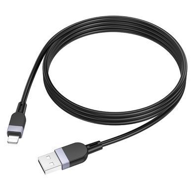 Кабель для зарядки Lightning Apple iPhone HOCO X109 Energy 1м, 2,4A Чорний