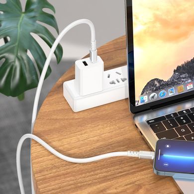 Кабель для телефона із швидкою зарядкою Type-C to Lightning Apple iPhone HOCO X85 Strength 100см 20W Чорний